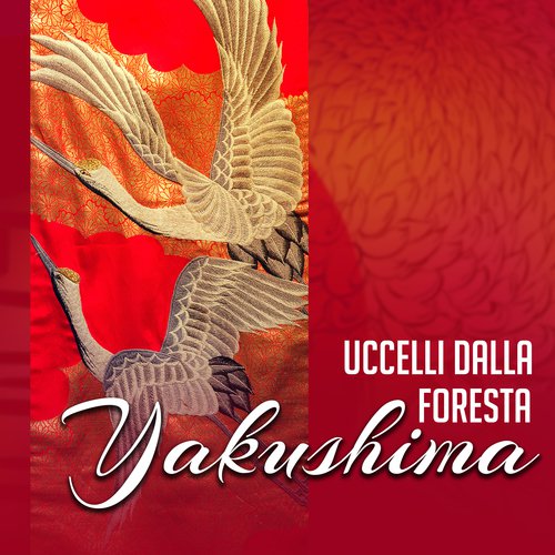 Suoni di erba verde cover art