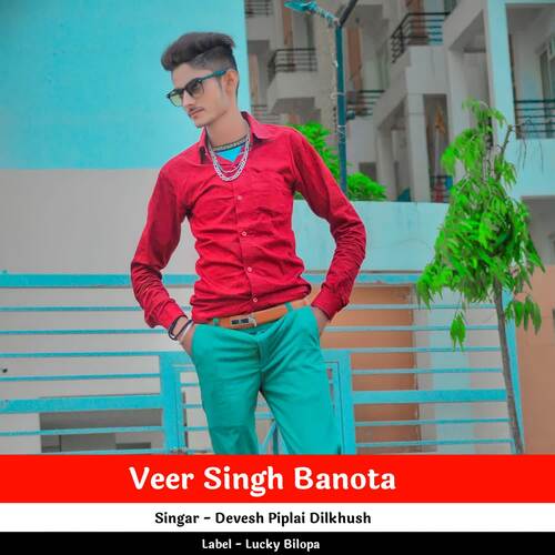 Veer Singh Banota