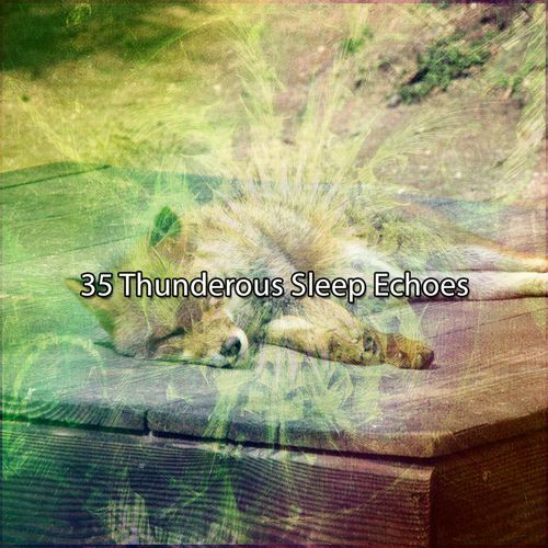 35 Thunderous Sleep Echoes_poster_image