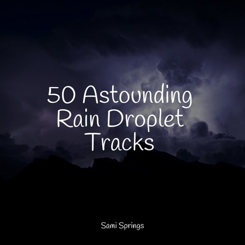 50 Astounding Rain Droplet Tracks_poster_image