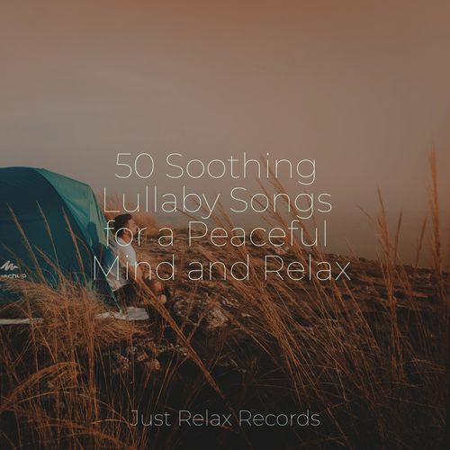 50 Soothing Lullaby Songs for a Peaceful Mind and Relax_poster_image