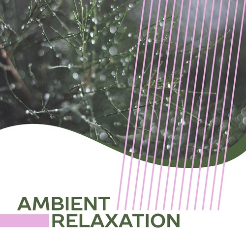 Ambient Relaxation – New Age Music, Helpful for Rest, Deep Relaxation, Sounds of Nature