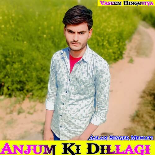 Anjum Ki Dillagi