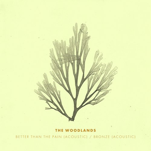 Better Than the Pain / Bronze (Acoustic)