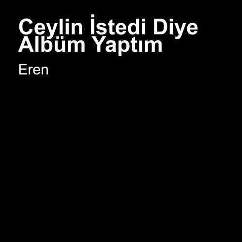Ceylin İstedi Diye Albüm Yaptım