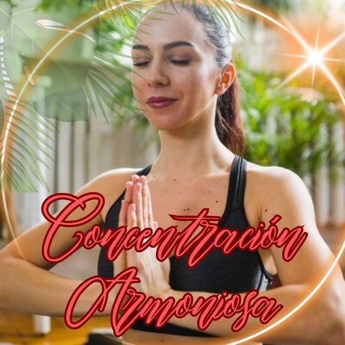 Sonido Suave Zen cover art
