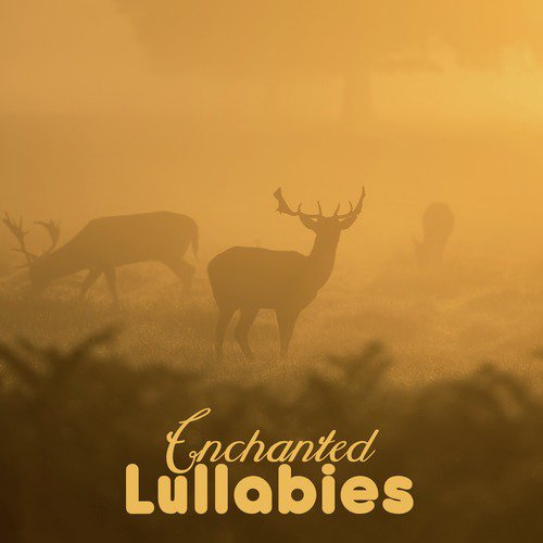 Enchanted Lullabies_poster_image