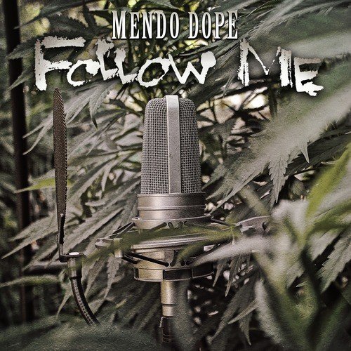 Follow Me (Shaun Frank Remix)_poster_image