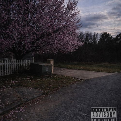 Ballin cover art