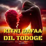 Kitni Dafaa Dil Todoge