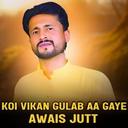 Koi Vikan Gulab Aa Gaye-Fh4iWx9GRX8