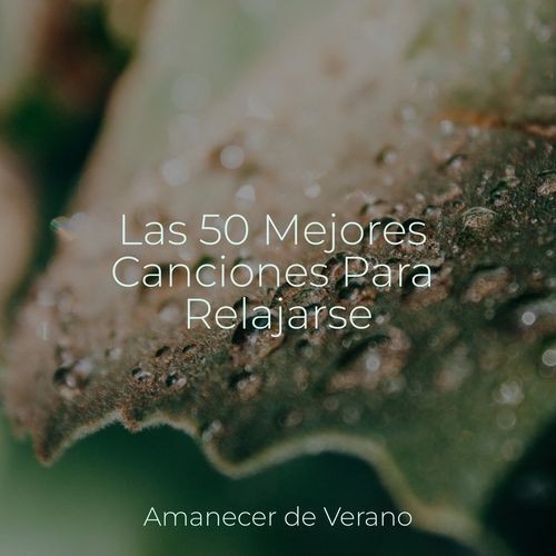 Nubes de Suavidad cover art