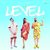 Level