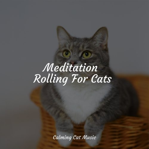 Wellbeing cover art