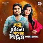 Nari Hoilo Shokher Jinis