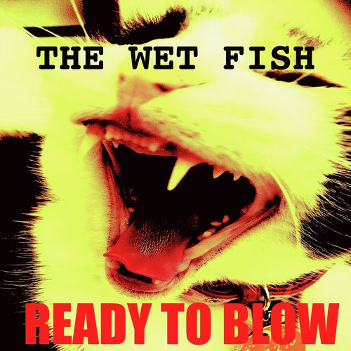 Dirty Birds cover art