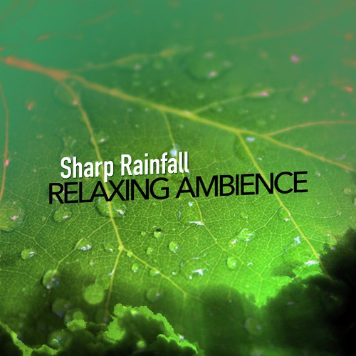 Sharp Rainfall: Relaxing Ambience