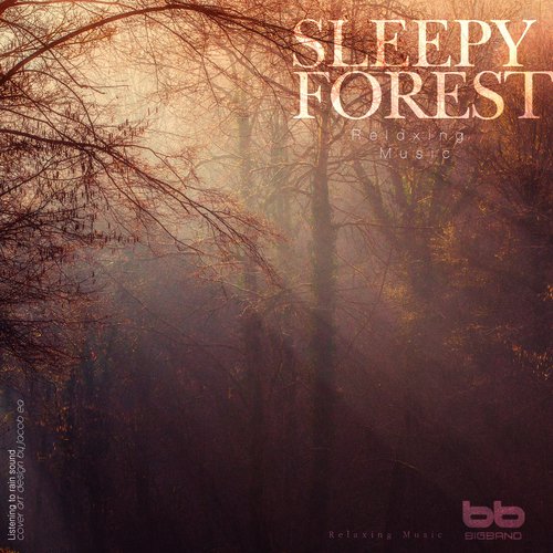 Sleepy Forest for Students