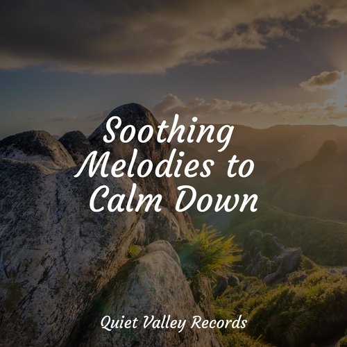 Soothing Melodies to Calm Down