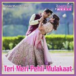 TERE MERI PEHLI MULAKAAT
