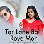 Tor Lane Bai Roye Mor