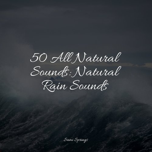 50 All Natural Sounds: Natural Rain Sounds_poster_image