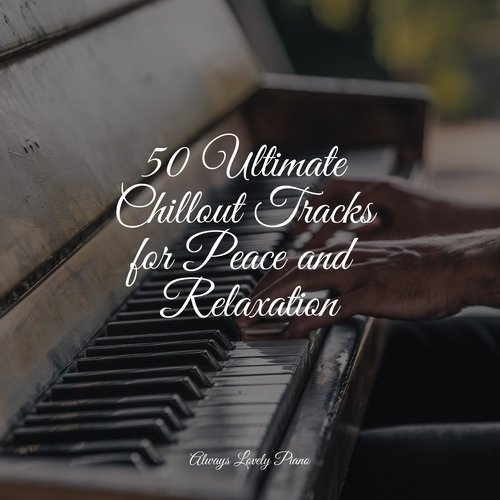 50 Piano Tracks for Peace, Mindfulness, and Passionate Stress-Relief