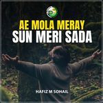 Ae Mola Meray Sun Meri Sada