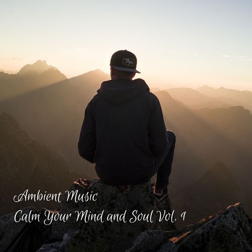 Ambient Music: Calm Your Mind and Soul Vol. 1_poster_image