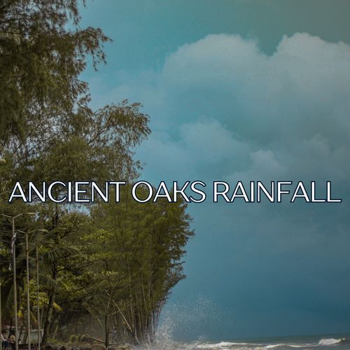 Ancient Oaks Rainfall for a Calm Sleep Experience in a Sacred Forest Sanctuary