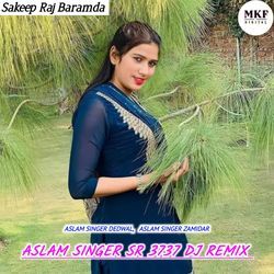 Aslam Singer SR 3737 (DJ REMIX)-BSw4YTd8eUk