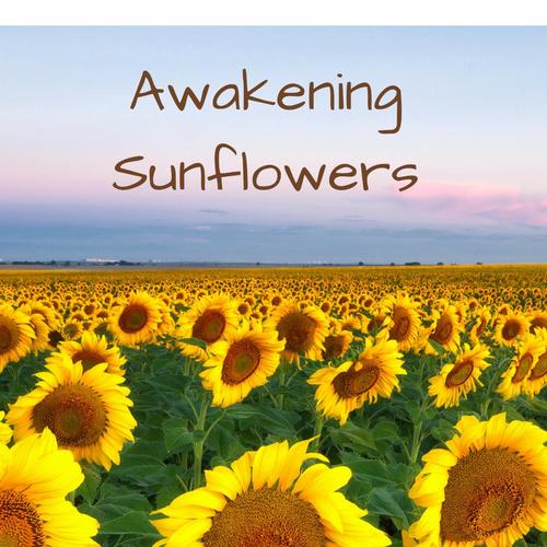 Awakening Sunflowers