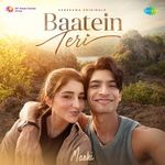 Baatein Teri