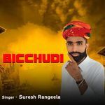 Bicchudi