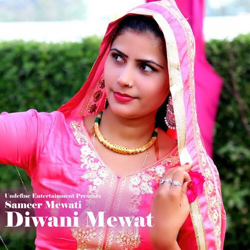 Diwani Mewat
