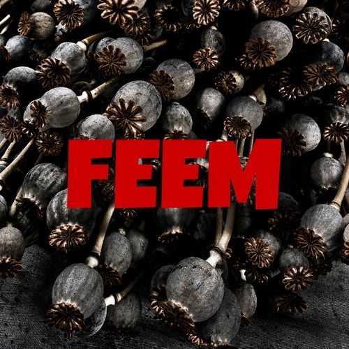 Feem