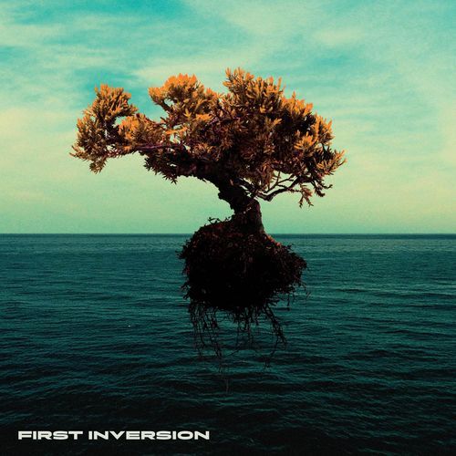 Heist at the Thievery Corporation cover art