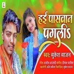 Hai Paswan Pagali (Paswan Song)