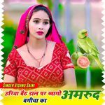 Hariya Betd Dal Par Khao Amrud Bagicha Ka