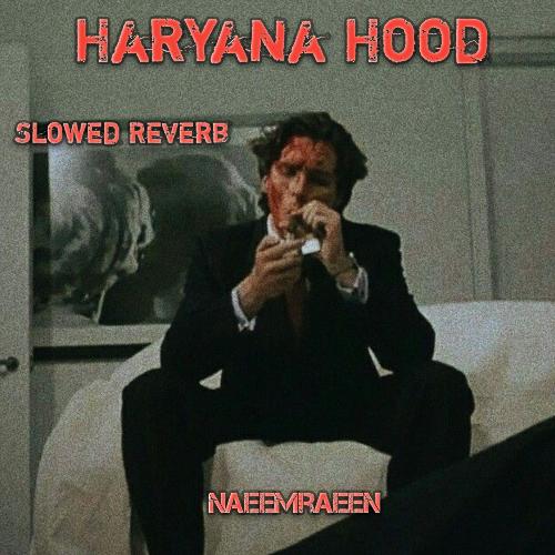 Haryana Hood (Slowed + Reverb)