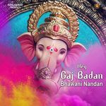 Hey Gaj Badan Bhawani Nandan
