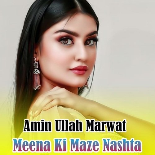 Meena Ki Maze Nashta_poster_image