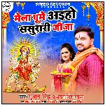 Mela Ghume Ayiho Sasurari Jija - Single