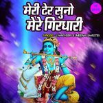 Meri Ter Suno Mere Girdhari