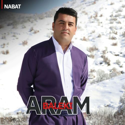 Shad u Zamawand cover art