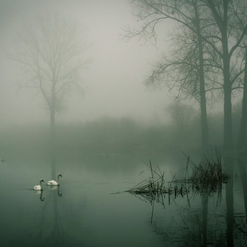 Relaxing Music for Deep Sleep - Soft Sounds to Calm Down, Pure Mind, Healing Nature, Reiki