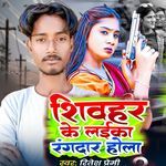 Shivhar Ke Laika Rangdar Hola