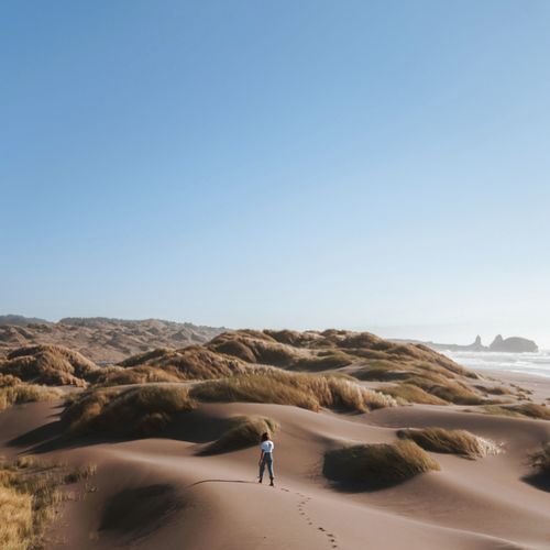 Sleep Waves cover art