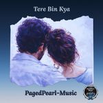 Tere Bin Kya
