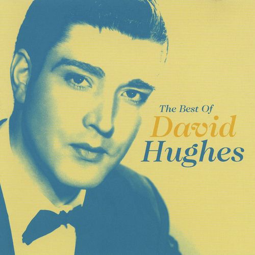 The Best Of David Hughes